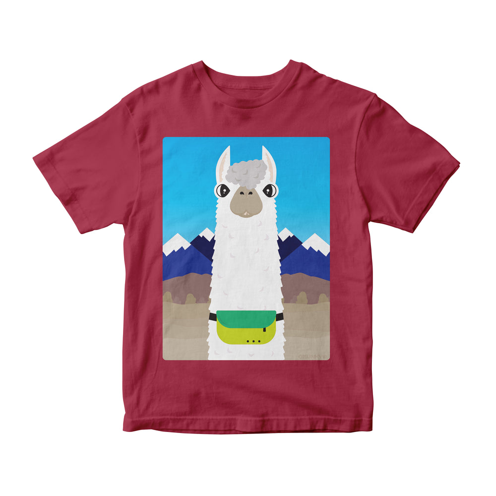 Don't Worry, Alpaca Fanny! Kids (Infant & Toddler)